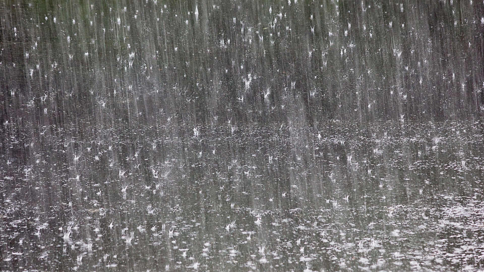 tallada ronda litoral pluja