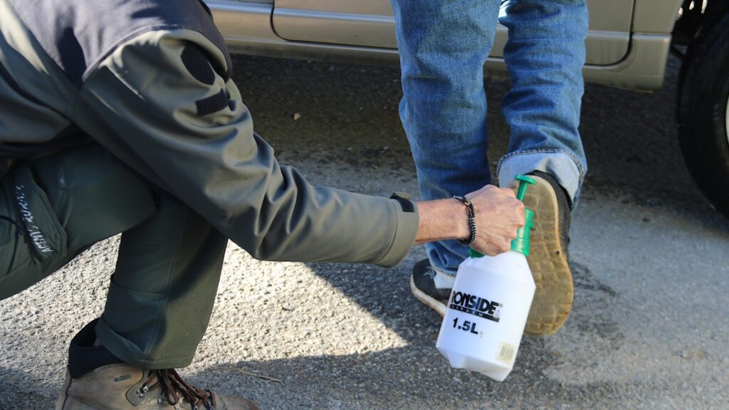 desinfecci&oacute; pesta porcina