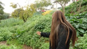 Veïns de Torre Baró: “La serra està tancada. Si volen passejar que vagin a la plaça de Catalunya”