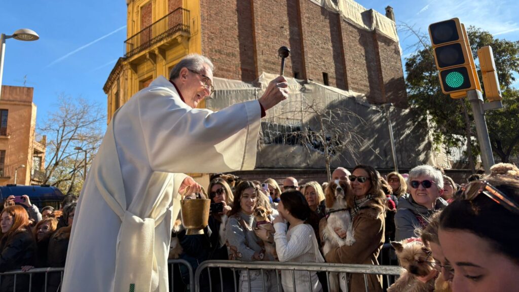 benediccio animals tres tombs sant andreu