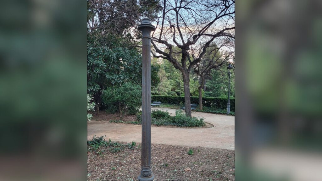 Reobren els Jardins de Pedralbes, després que el vent tombés dos grans pins centenaris | arbres, jardins, Palau de Pedralbes, parcs, parcs i jardins, pluja, vent