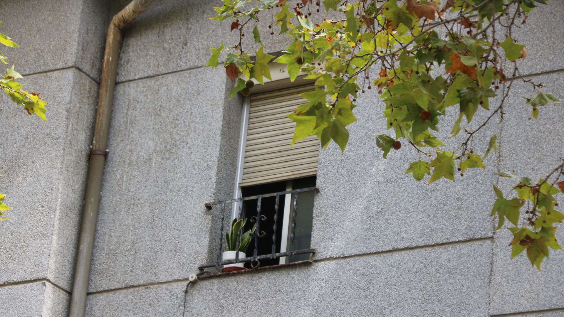 crim masclista Turó Peira