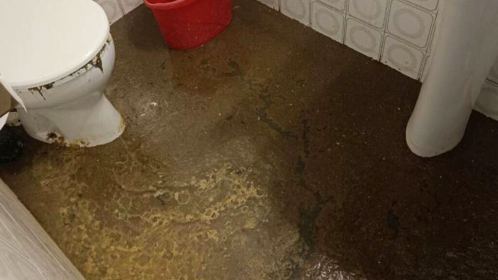 local aigues fecals bordeta