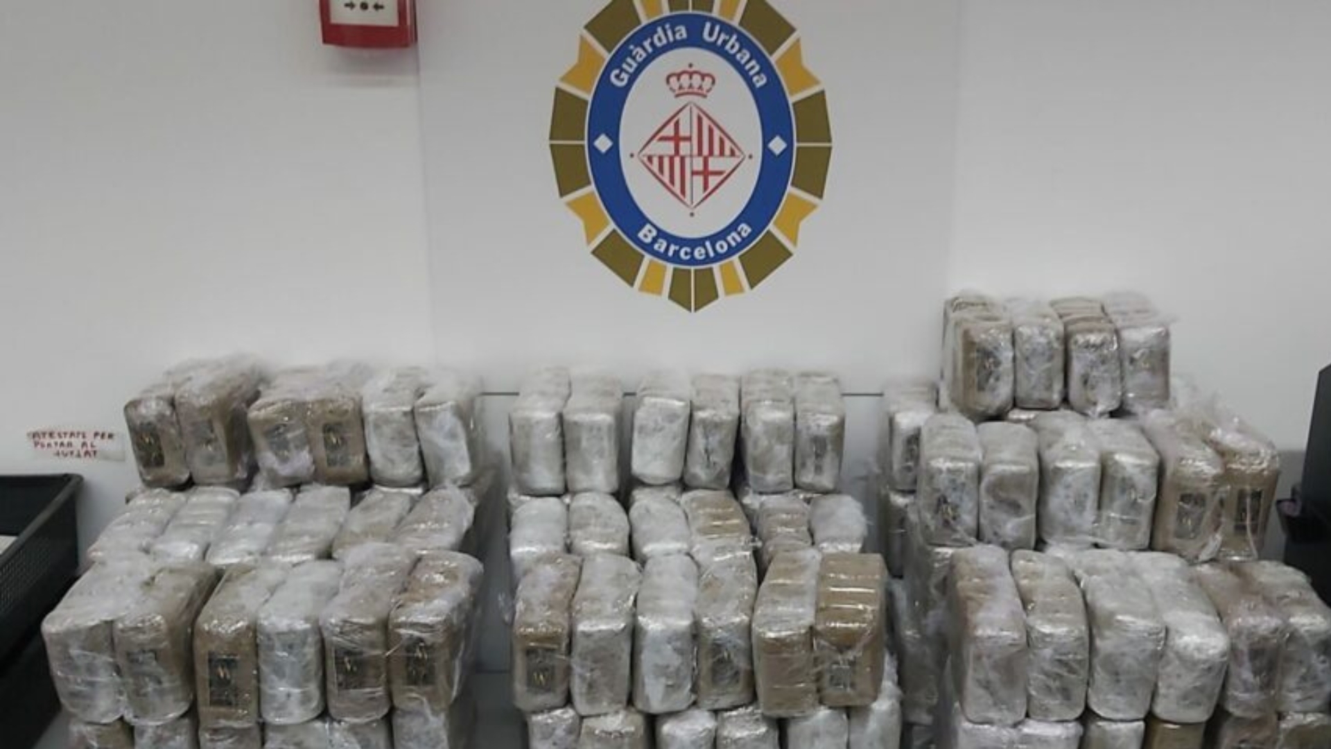 100 kg haixix vehicle