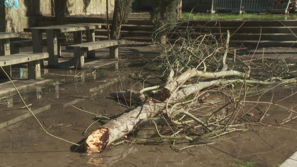 Inspeccions als camins de Collserola després del temporal, amb més de 50 incidències detectades | Collserola, Parc Natural de Collserola, vent