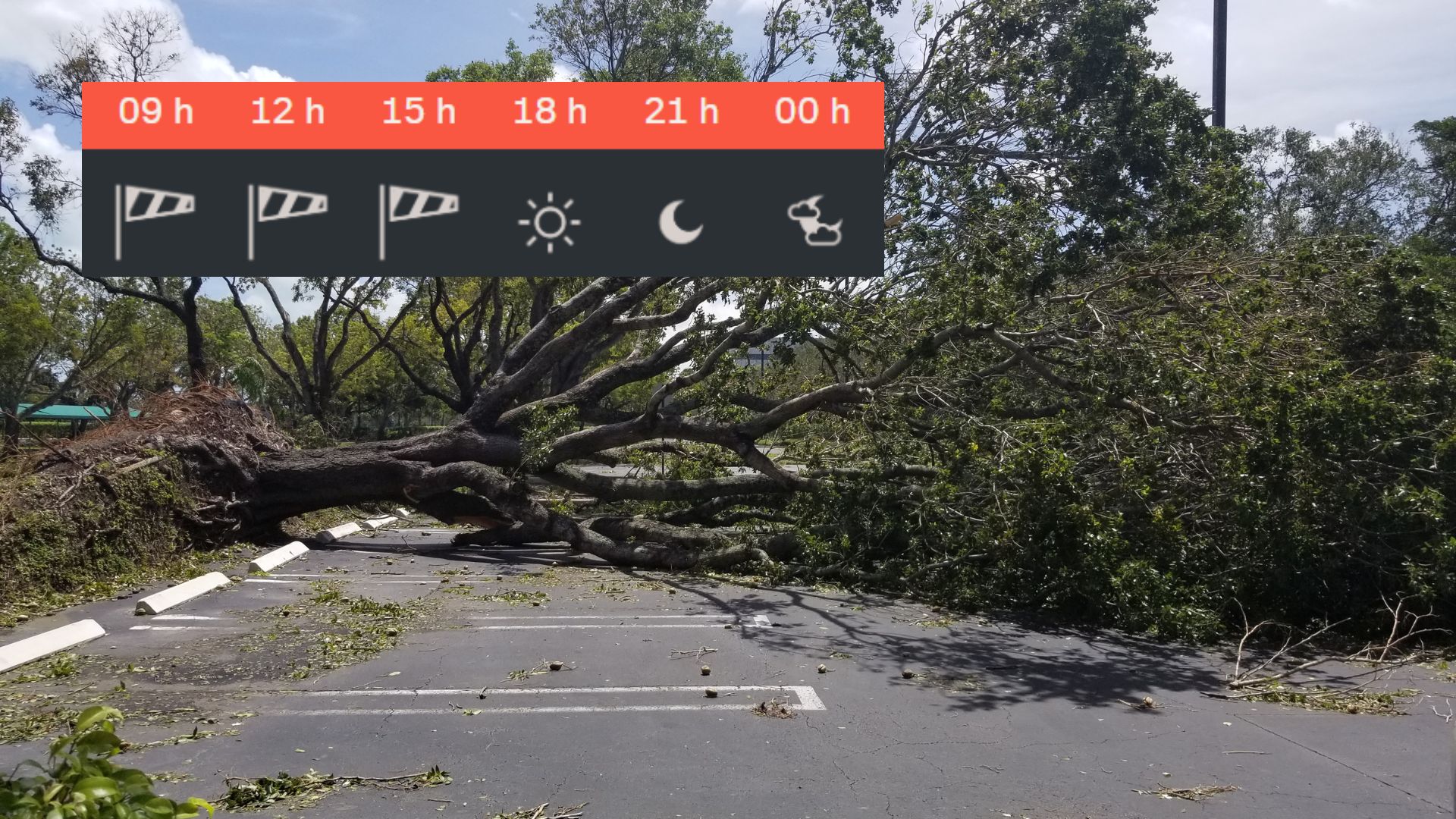 Dijous de ponentada històrica amb ràfegues de vent de més de 100 km/h | previsió del temps