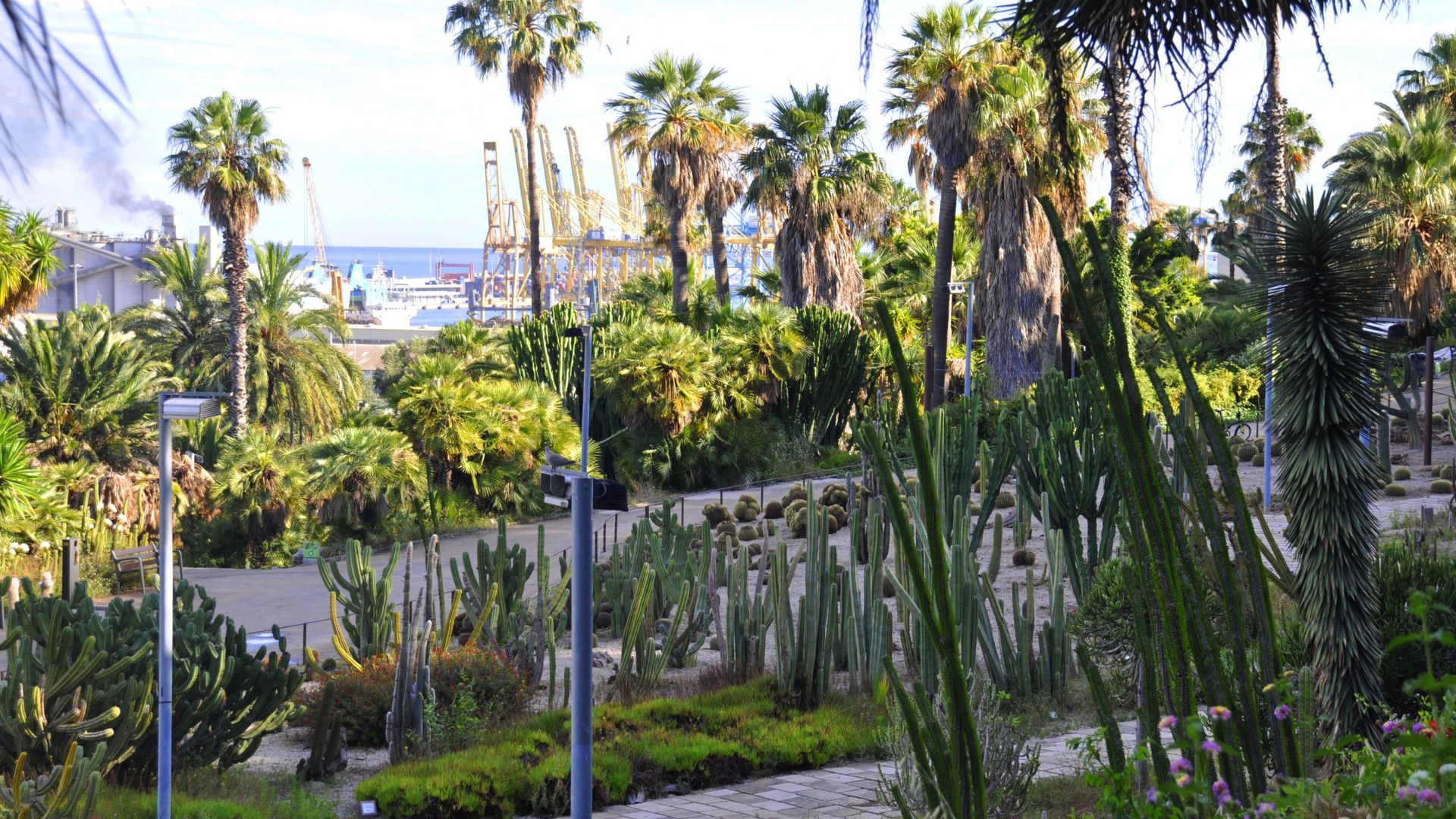 Presó per al detingut acusat de violar una dona als Jardins de Mossèn Costa i Llobera, a Montjuïc | agressions, agressions sexuals, detencions, Mossos d'Esquadra