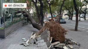 Última hora del vent: arriba la pitjor part del temporal amb ratxes de més de 100 km/h | DIRECTE