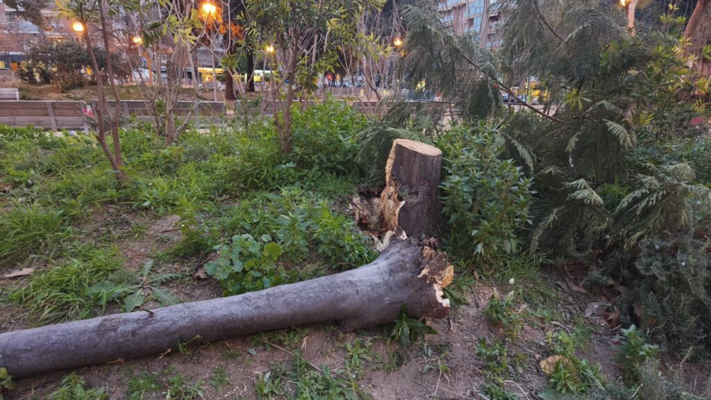 vent ponent febrer 2026