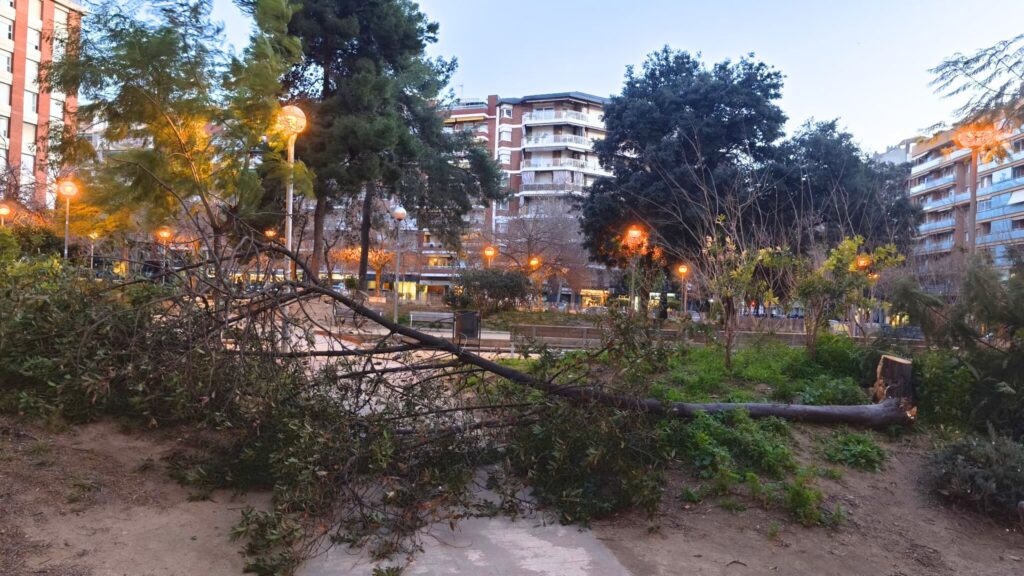 Última hora del vent: Barcelona recupera la normalitat progressivament | Protecció Civil, vent