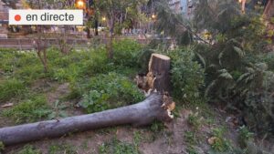 Última hora del vent: arriba la pitjor part del temporal amb ratxes de més de 100 km/h | DIRECTE