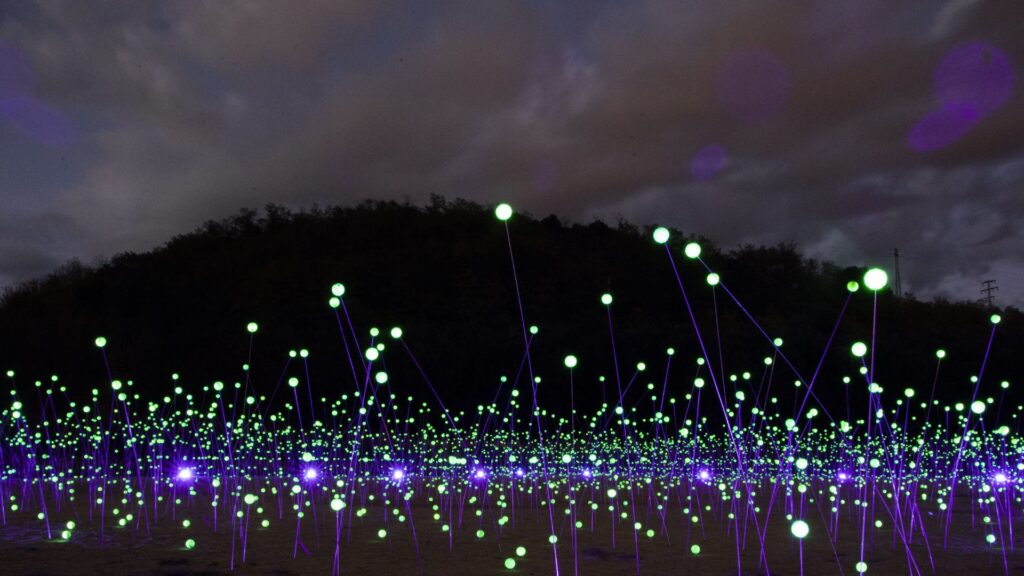 Llum BCN 2026: els imprescindibles del festival lumínic a Barcelona | MAPA | artistes, festival, llum