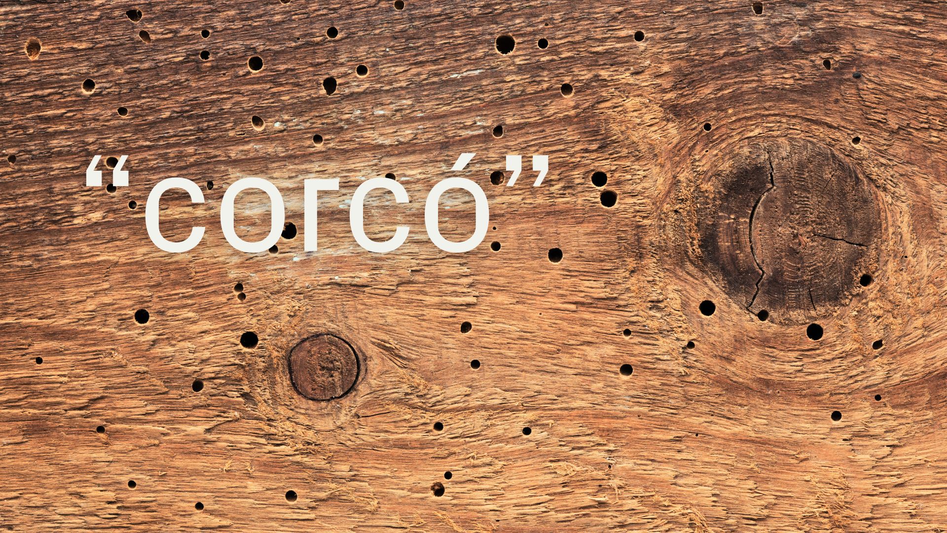 "Corcó", mot petit i insistent que ha fet forat als diccionaris | català, llengua, Mots endiumenjats