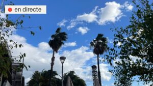 Vent a Barcelona: Ajuntament i Generalitat es preparen per a un episodi “excepcional” | DIRECTE