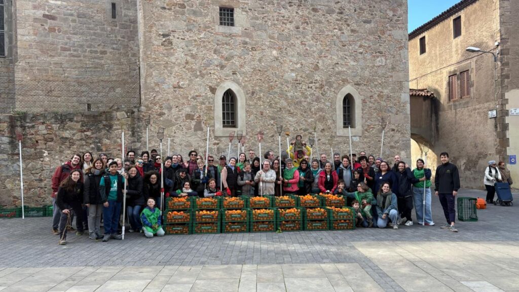 Barcelona converteix les taronges dels carrers en melmelada solidària | arbres, economia col·laborativa, parcs i jardins
