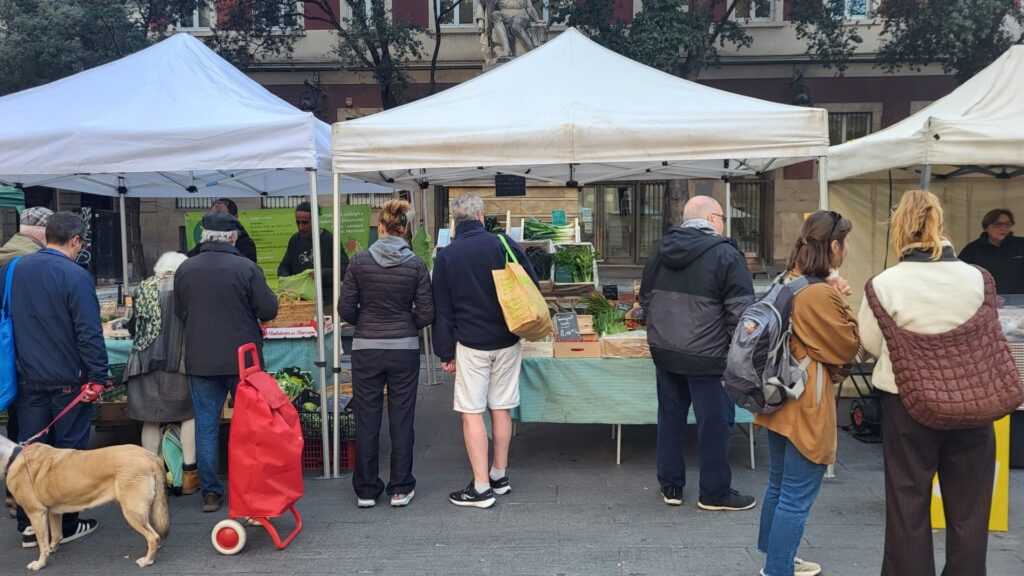 estrena-mercat-pages-pla&ccedil;a-merce-general 240226