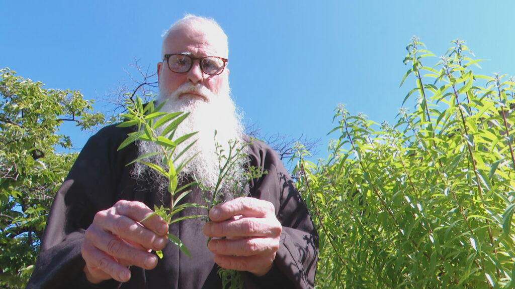 Fra Valentí: "La vida caputxina ha incidit més del que ens pensem en la Catalunya contemporània" | llibres, religió, tradicions