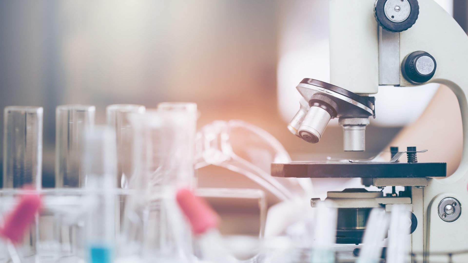 Descobreixen que un fàrmac antiobesitat pot ajudar a disminuir la glucosa i els greixos a la sang | alimentació, ciència, investigació, medicaments, medicina, recerca, Universitat de Barcelona (UB)