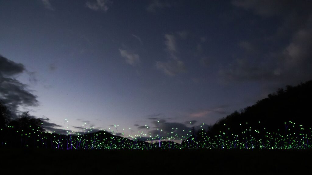 Llum BCN 2026 al Poblenou: Data, horari, mapa i programa del festival d'arts lumíniques | 22@, festival, llum