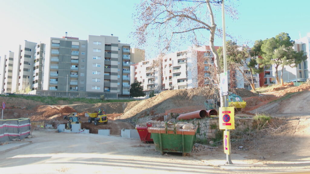 Talen els pins vells de la Trinitat Nova, davant l'enuig dels veïns | arbres, queixes veïnals