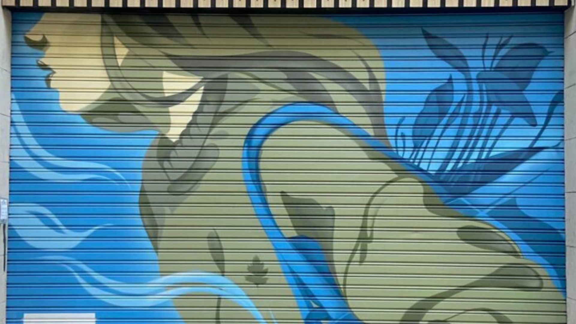 Persianes que fan barri, la iniciativa que transformarà la imatge de 185 comerços de proximitat | art urbà, Barris, botiga, eixos comercials, grafits