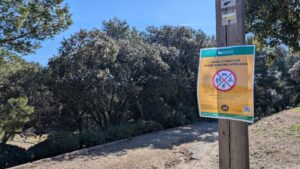 La pesta porcina arriba a Barcelona i obliga a tancar el Parc de Collserola