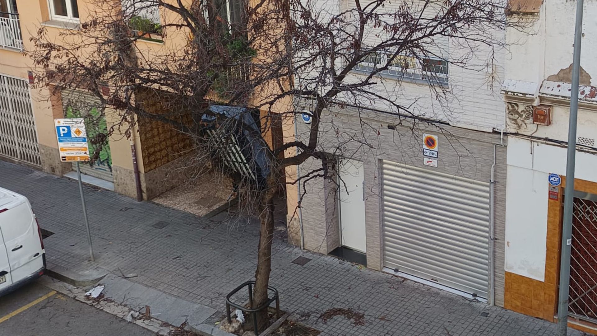 sofà en un arbre a causa del vent al barri del Camp de l'Arpa