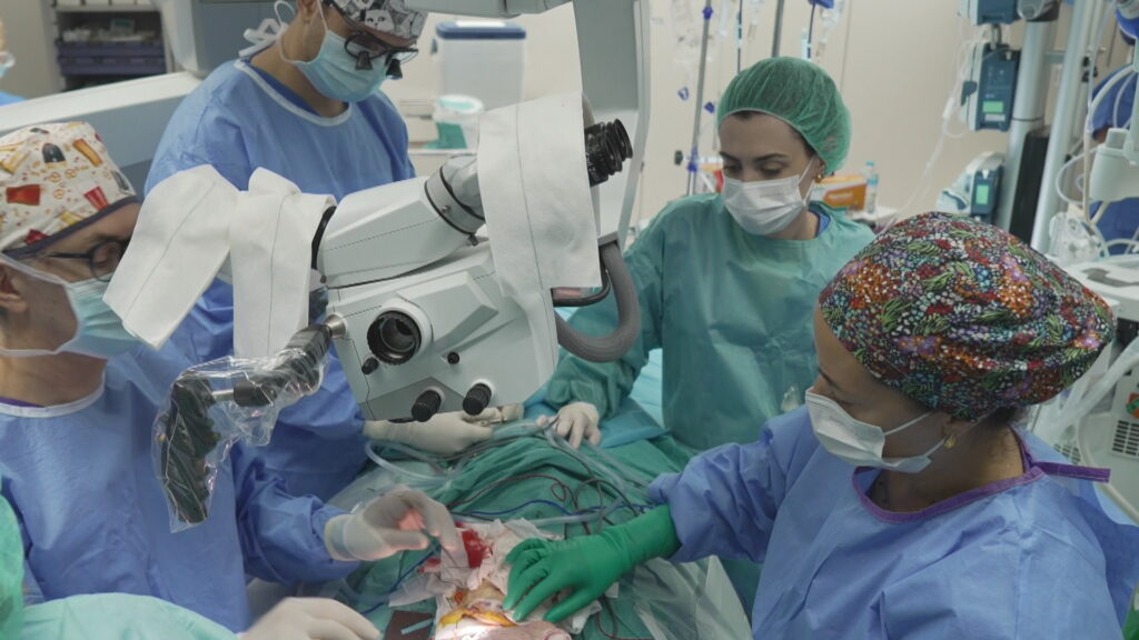 El Vall d'Hebron fa el primer trasplantament de cara amb una donant que va rebre eutanàsia | Hospital Vall d'Hebron, trasplantaments