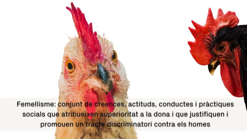 Lèxic lila en català per a un feminisme il·lustrat i combatiu | català, Dia Internacional de les Dones, feminisme, llengua, Mots endiumenjats
