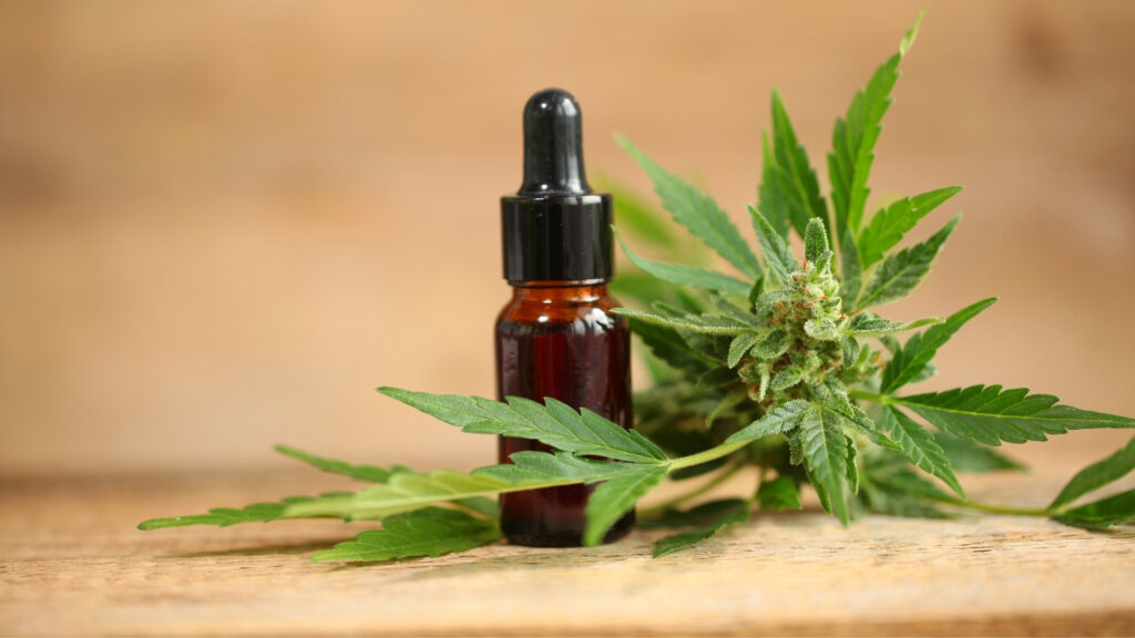 L'OCU alerta del perill d'ingerir cosmètics amb CBD com si fossin medicaments | cànnabis, consumidors, medicaments, salut pública