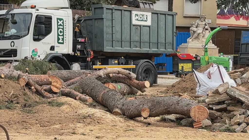 En marxa la tala dels arbres a la plaça de Sants afectats per les obres a l'estació de metro de l'L5 | accessibilitat, arbres, metro, obres