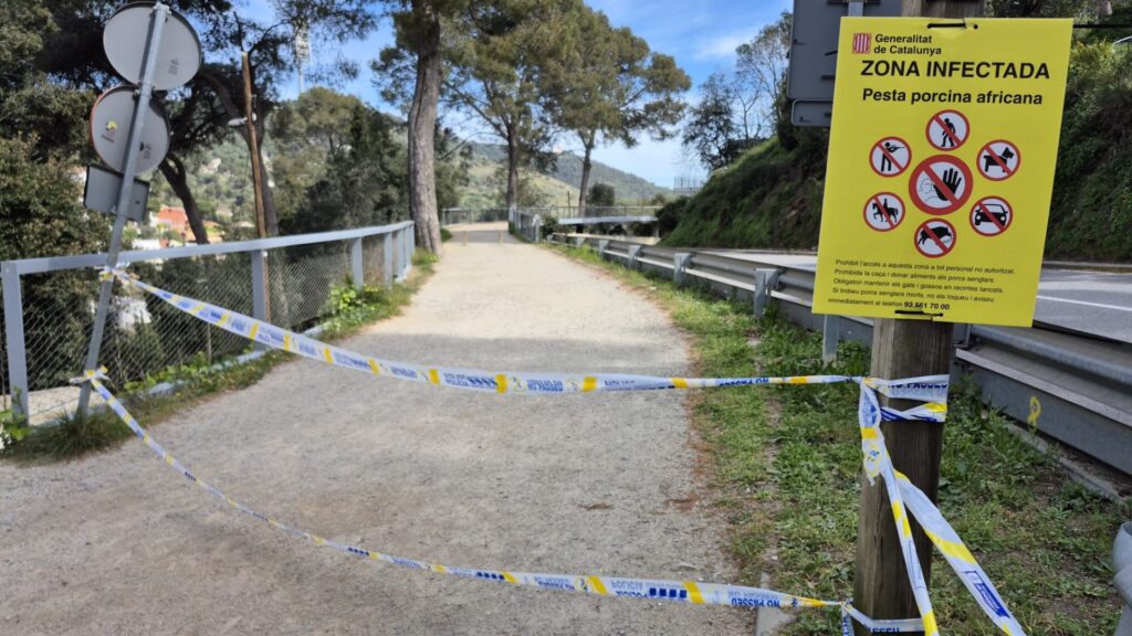 Cartells i barreres per impedir el pas a la carretera de les Aig&uuml;es a causa de les restriccions a Collserola per la pesta porcina