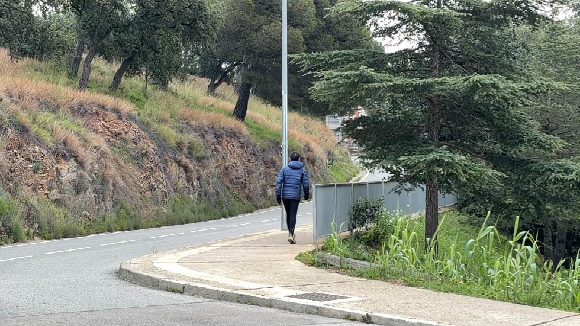carretera Roquetes pesta porcina
