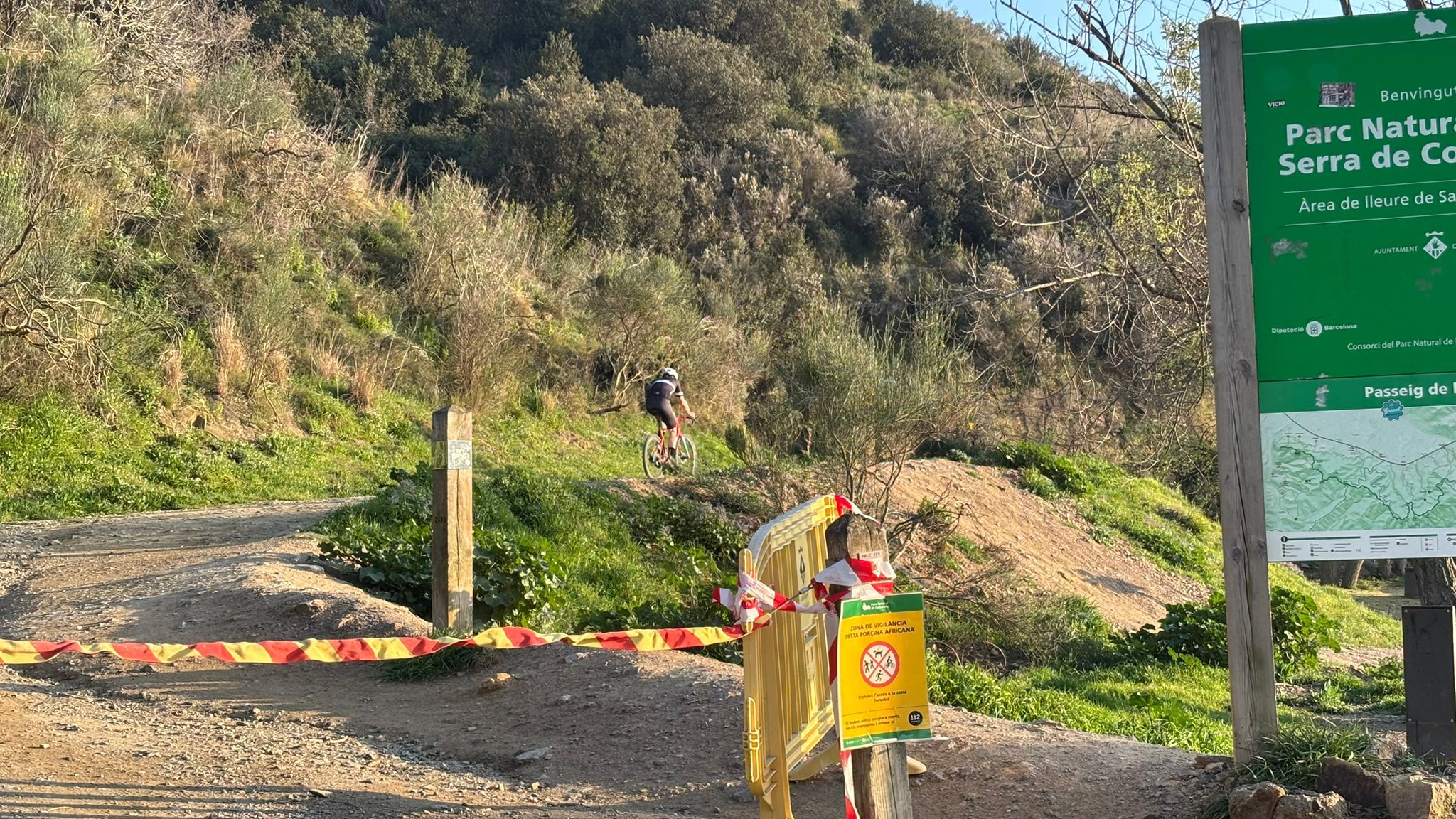 incompliments tancament parc de Collserola pesta porcina