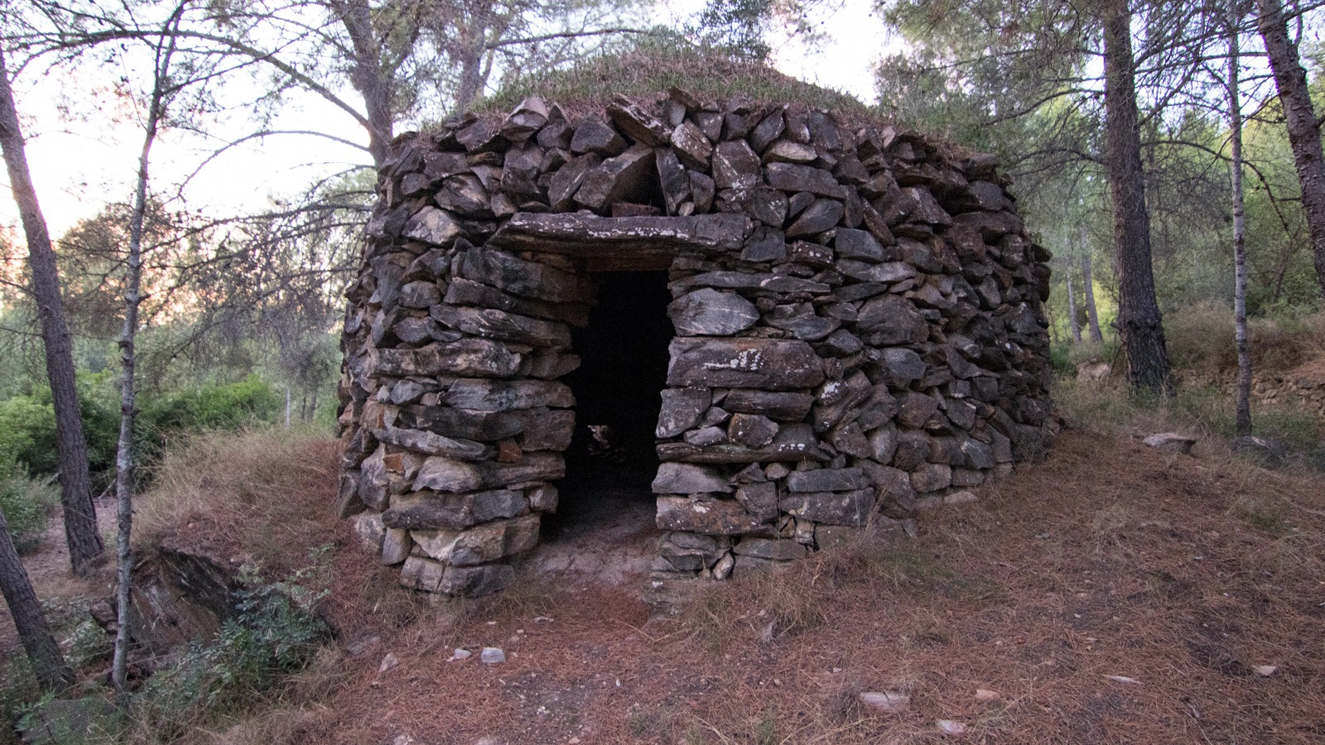 La pedra seca, memòria viva d'un passat agrícola | Collserola, pòdcast, ràdio
