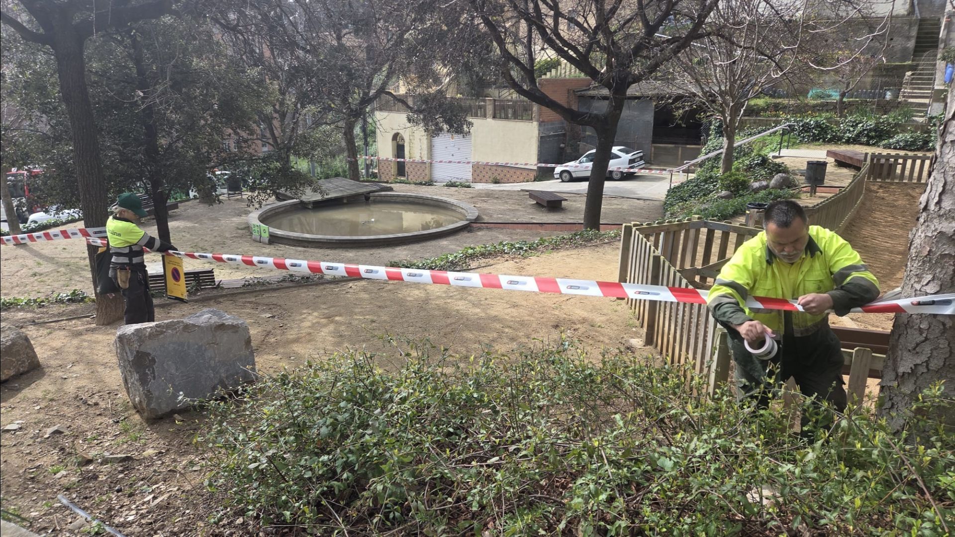 Font Roure pesta porcina