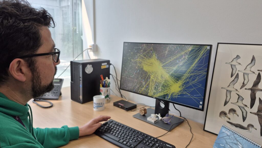 Las gaviotas, unos "carteristas" de bocadillos muy desconocidos | animales, fauna, investigación, salud pública