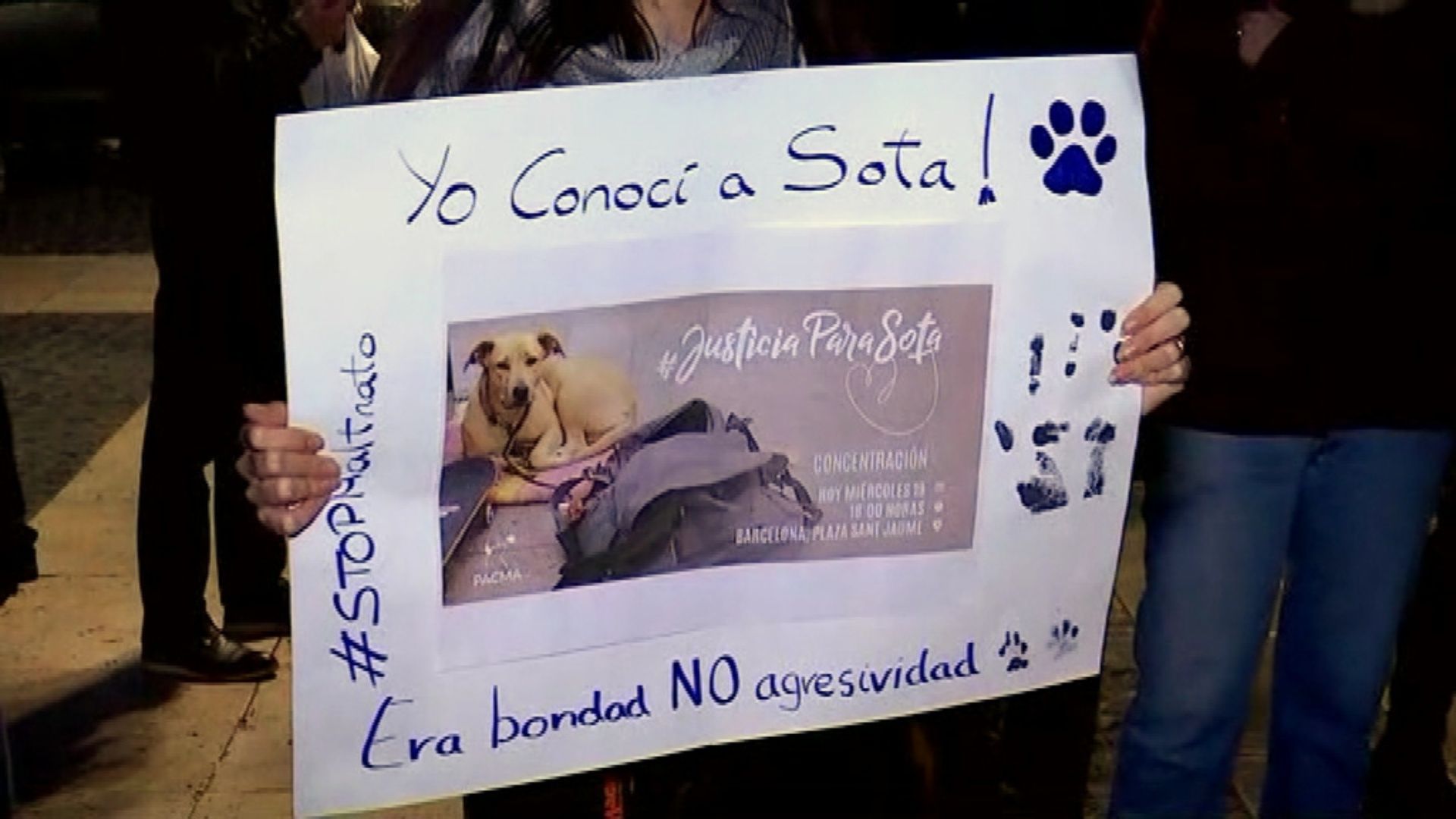 acord mediació cas mort gossa sota