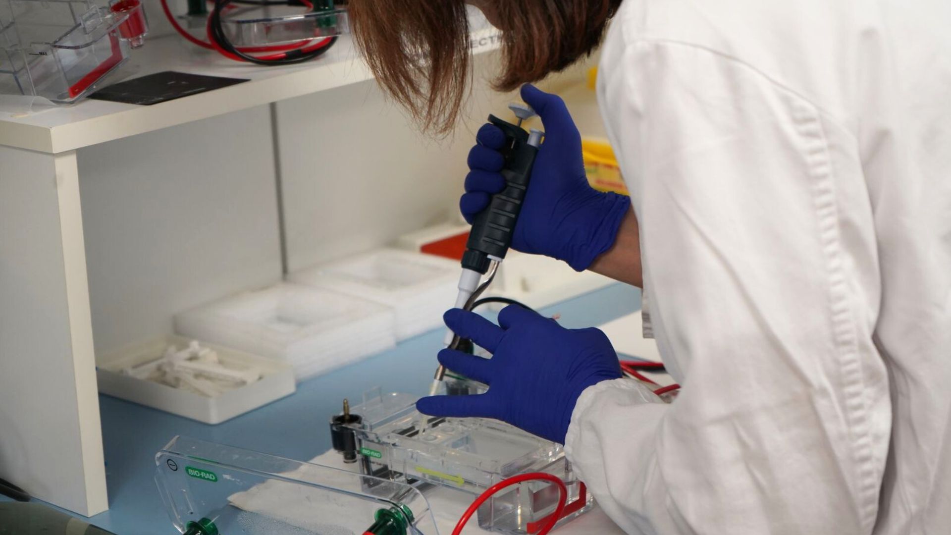 Laboratori d'Immunologia del Vall d'Hebron Institut de Recerca
