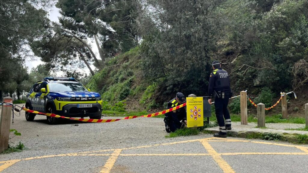 Cauen un 90 % les visites al Parc de Collserola: "Majoritàriament, la gent està complint" | Collserola, multes, Parc Natural de Collserola, Pesta porcina