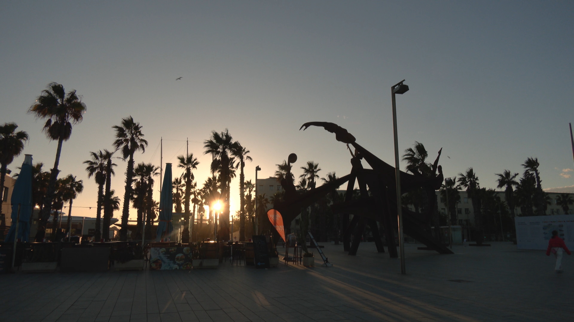 placa mar barceloneta de nit