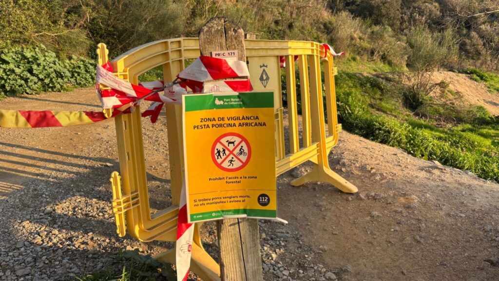 carteles y vallas cierre parque de Collserola por la peste porcina