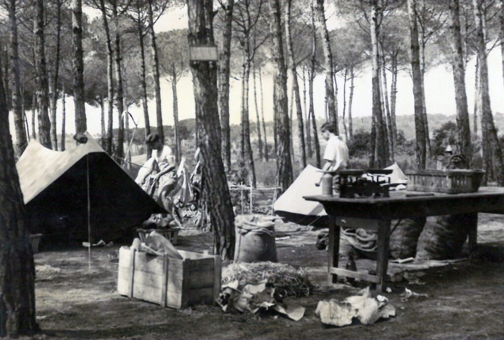camping escola aprenents elizalde