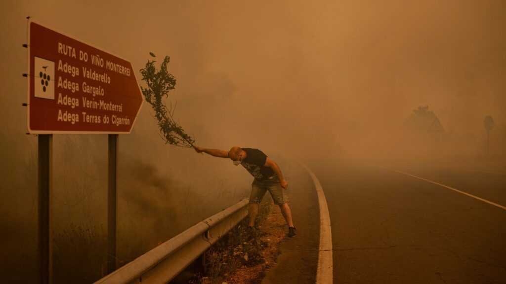 El jurat del World Press Photo: "Busquem que les fotografies ens interroguin" | exposició, fotoperiodisme, periodisme, premis, premsa