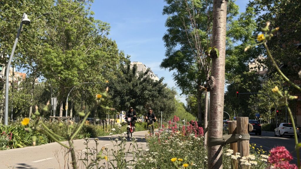 carril-bici-meridiana-flors-colors-3