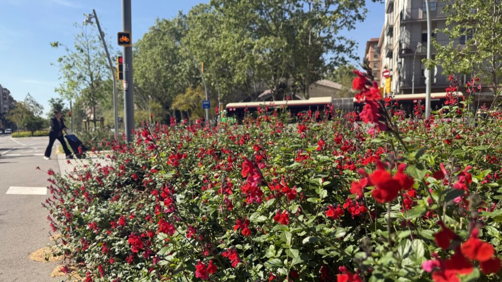 carril-bici-meridiana-flors-colors-4