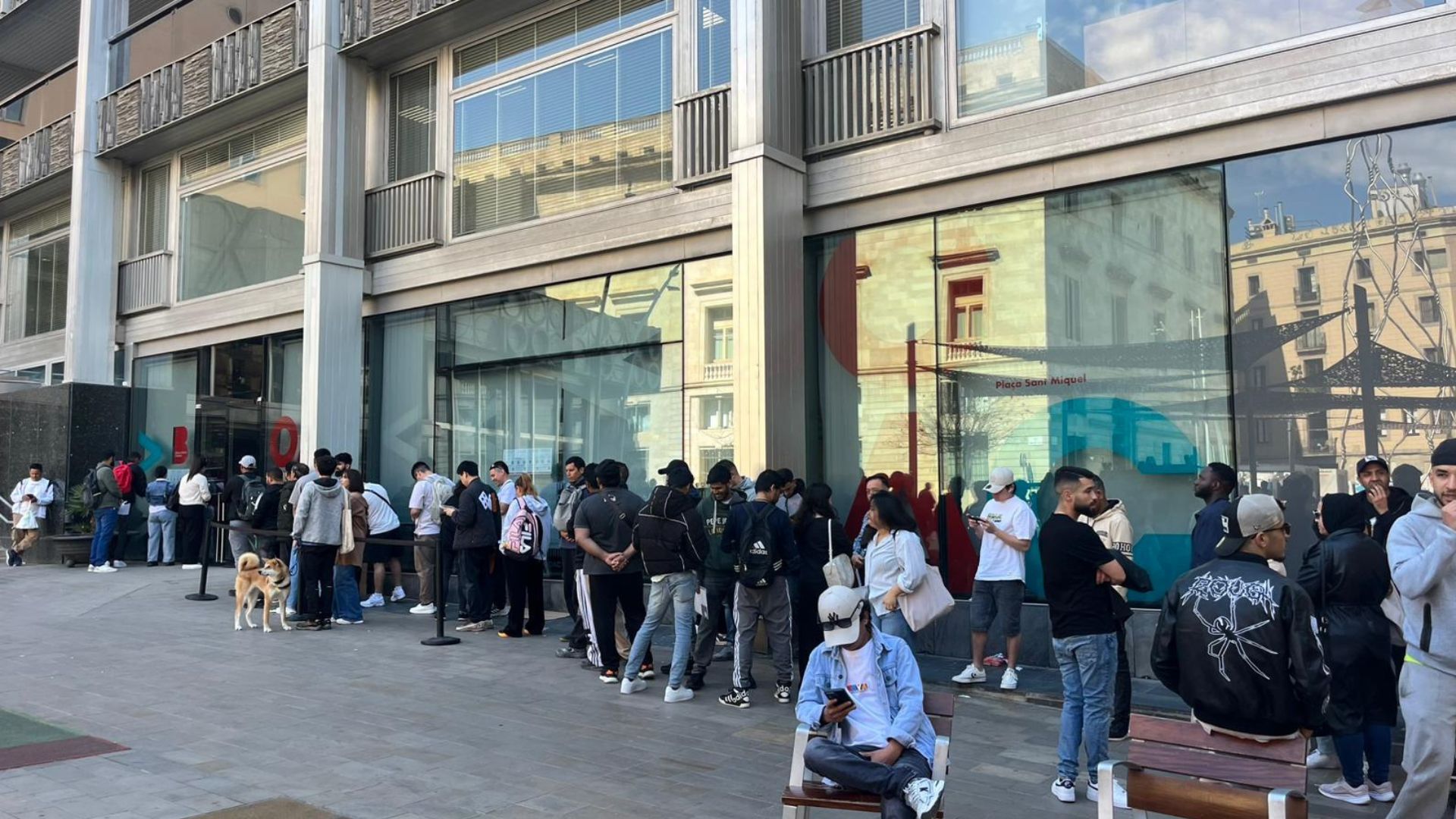 Cues OAC primer dia regularització