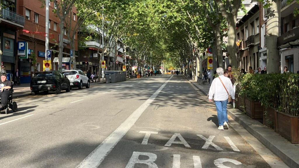 Sant Jordi 2026 Barcelona carrer Fabra i Puig