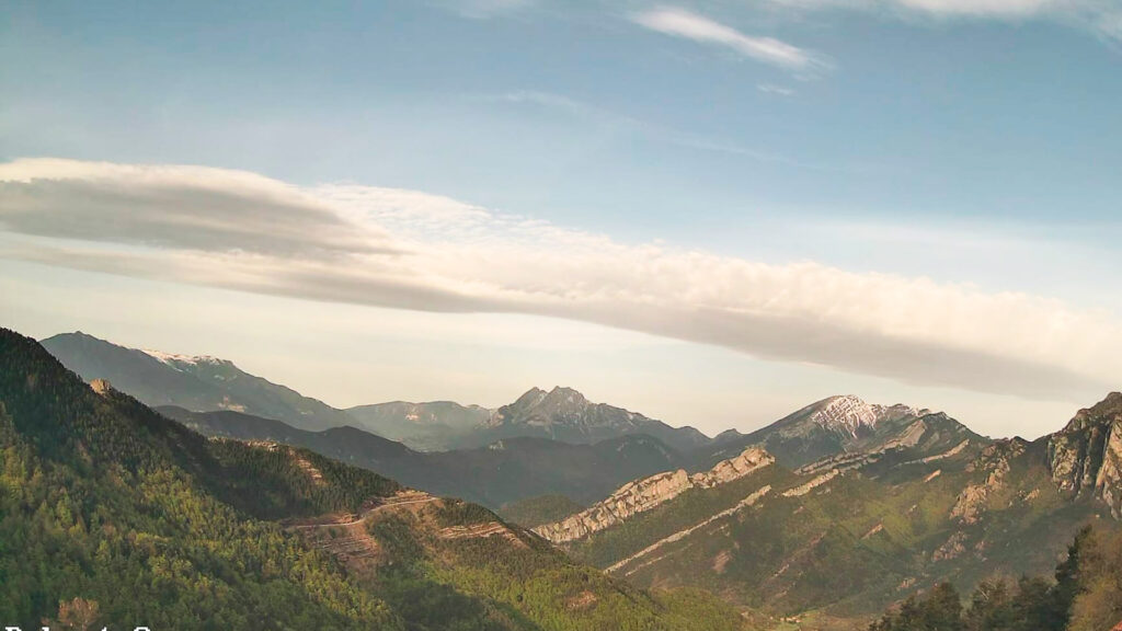Les fagedes ja s'han tenyit de verd, enguany força abans de l'habitual | arbres, calor, canvi climàtic, fred