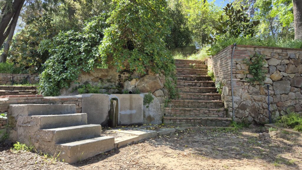 Recuperació dels aqüífers: la font dels Tres Pins raja a màxims des de la sequera | aigua, Parc de Montjuïc